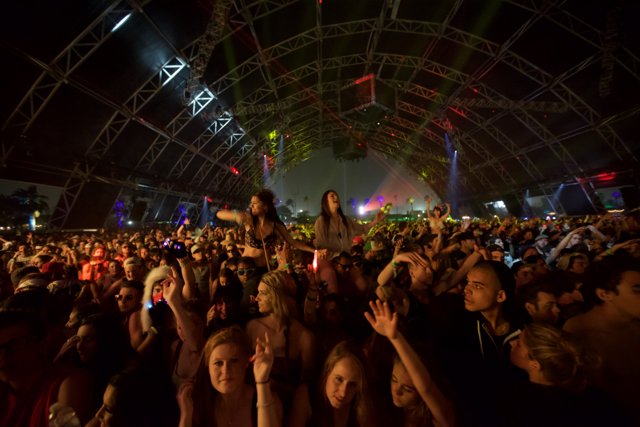 Mamie Gummer rocks out with the crowd at Coachella