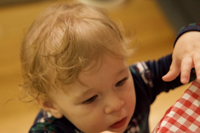 Curious Toddler Exploring Christmas Morning Activities