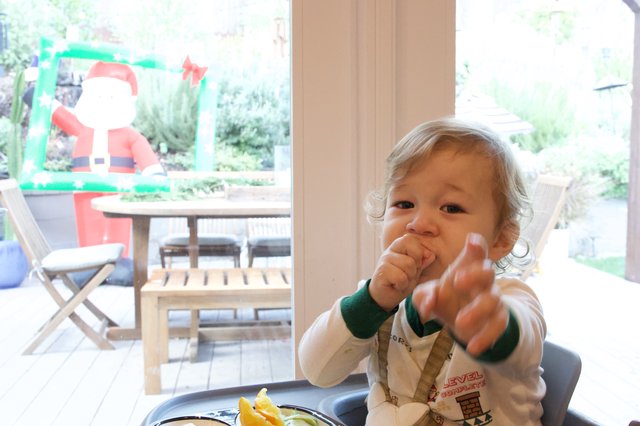 Toddler Reaching Toward Camera at Christmas Time