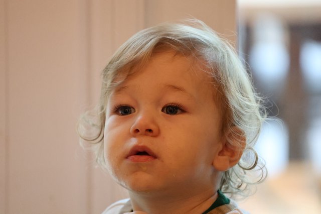 Curious Toddler with Blonde Curls at Christmas Time
