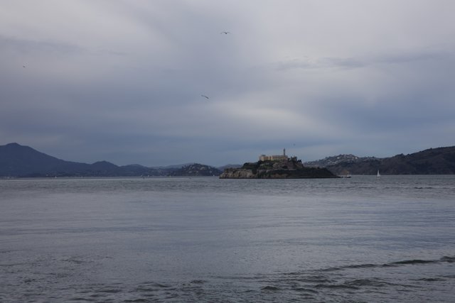 Alcatraz Island: The Icon of San Francisco Bay