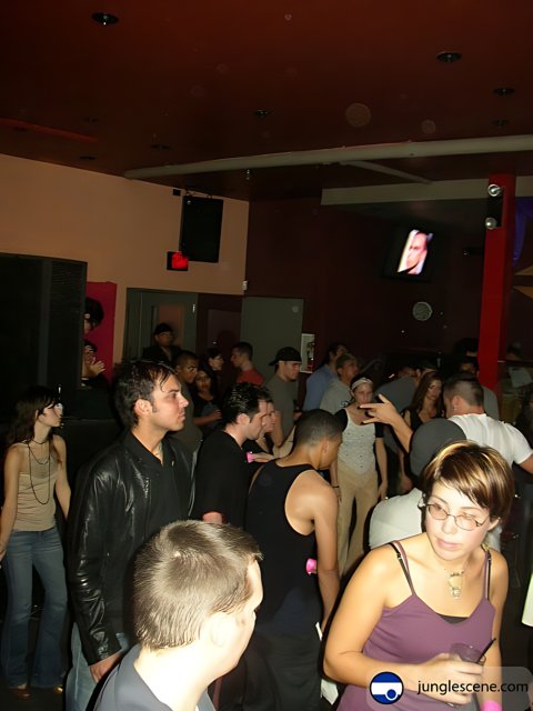 Nightclub party-goers groove to the music