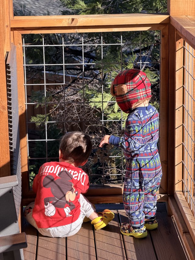 Two Toddlers Exploring a Snowy Yosemite Deck Together