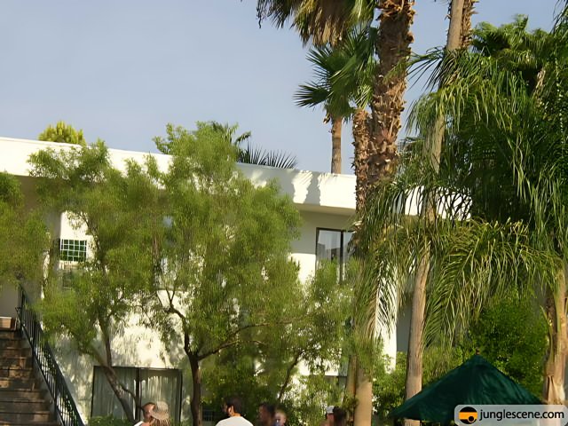 People Outside a Villa with Palm Trees and Blue Skies