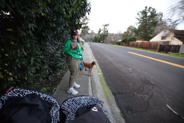 Early Morning Dog Walk on Suburban Street