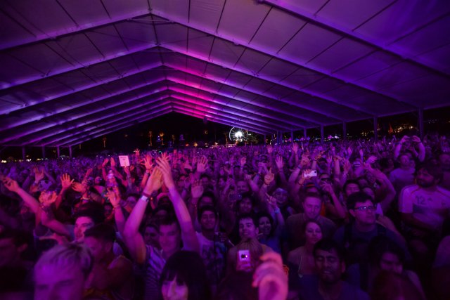 A Thrilling Night of Music and Fun with Coachella Crowd