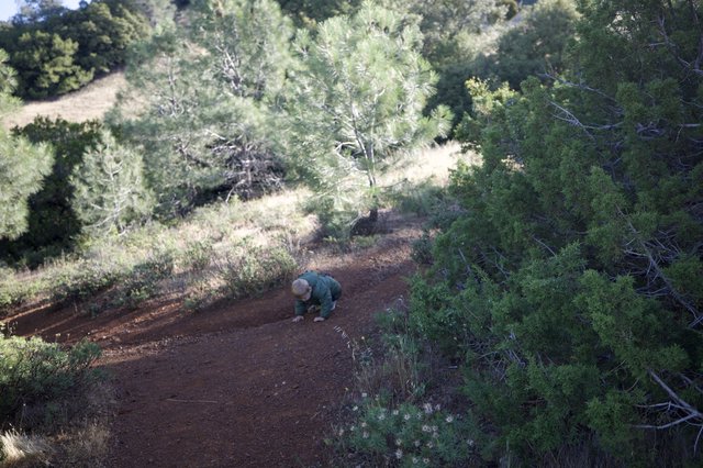 Toddler Explores Red Dirt Trail on Mount Diablo