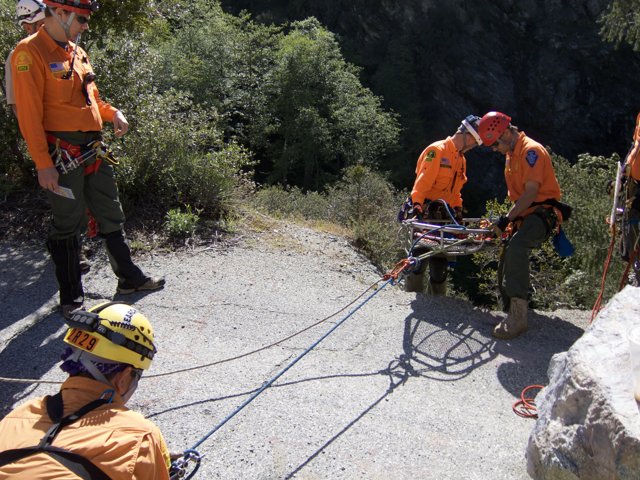 Orange-clad Workers on a Rescue Mission