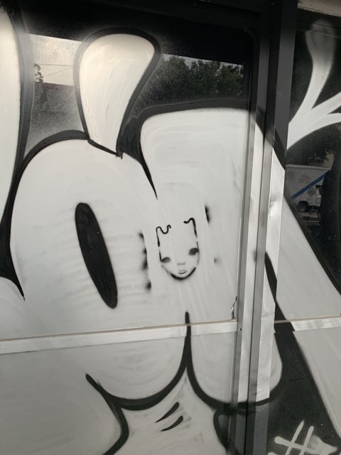 Feline Graffiti Door