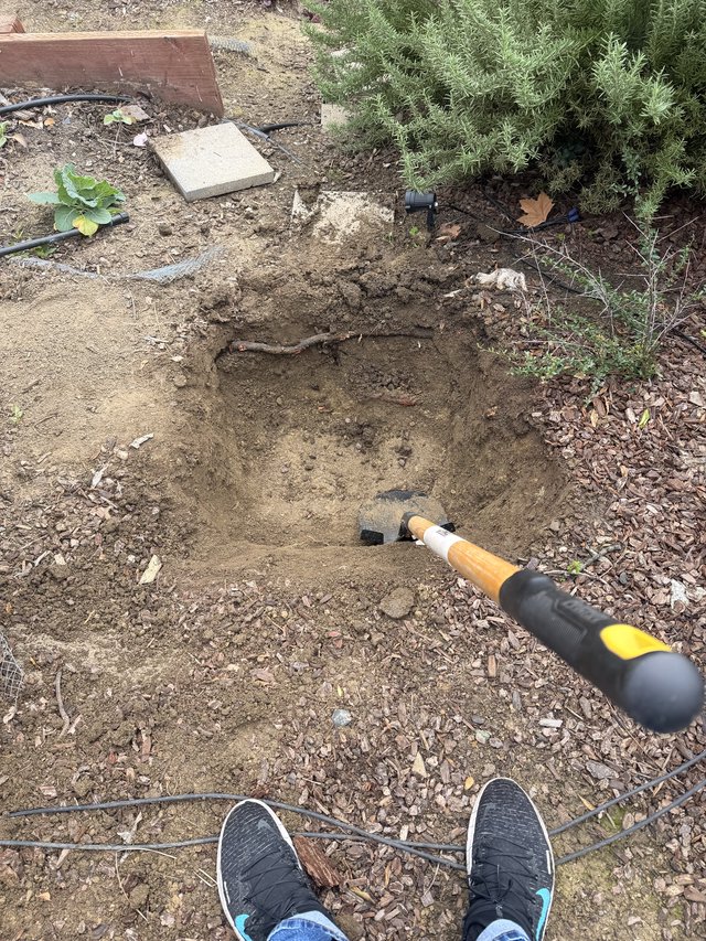 Digging a Garden Hole with Hand Tool