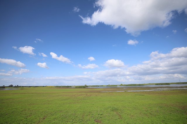 Wetland Landscape Under Expansive Spring Sky