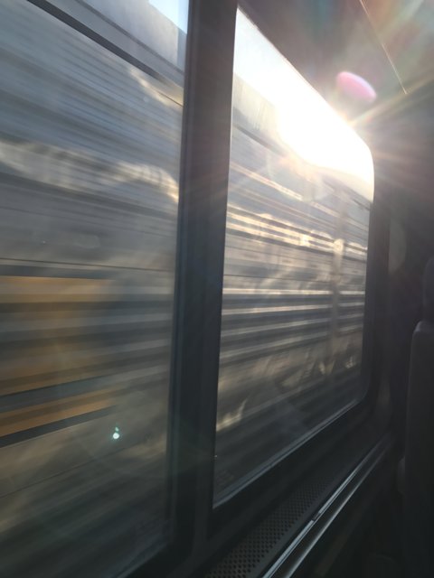 Sun-kissed Train Ride