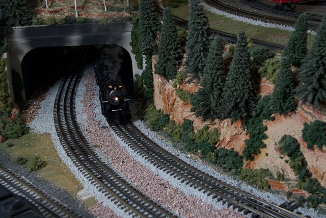 The Toy Train in the Tunnel of Trees
