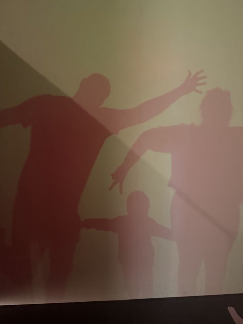 Shadows of Joy