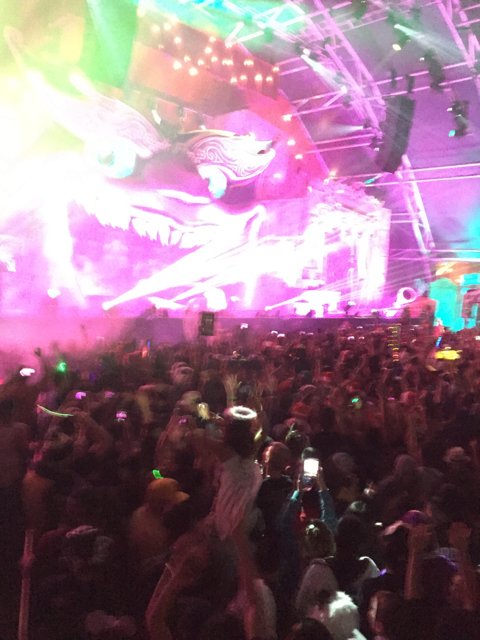 Colorful Spotlight on an Exciting Crowd at a Nightclub Performance