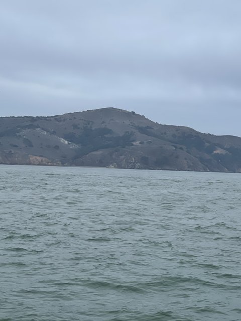 Serene View of San Francisco Bay