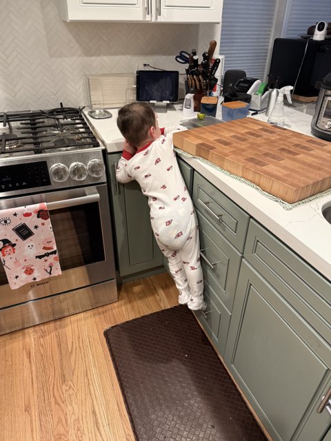 Curiosity in the Kitchen