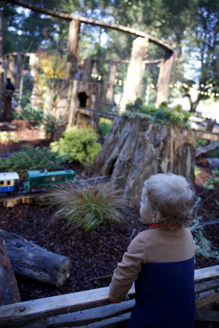 Whimsical Train Adventure