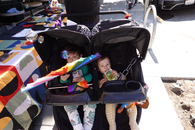 Stroller Adventures in Color