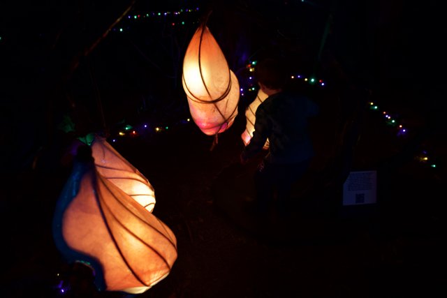 Enchanted Lanterns