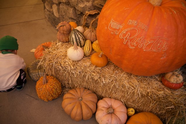 Harvest Time in Big Sur: A Little Country Charm