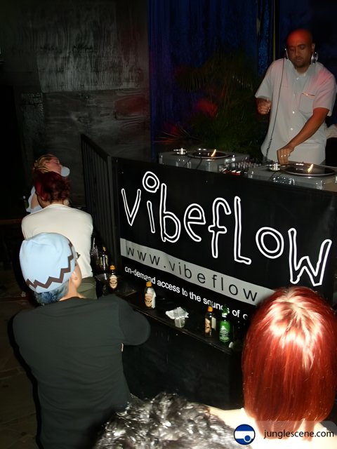 VibeFlow Deejay at the Club