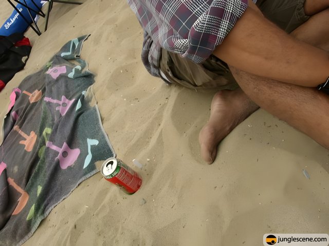 Relaxing Beach Day with Soda