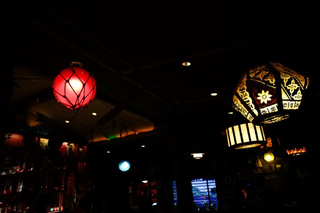Enchanting Illumination at the Disneyland Pub
