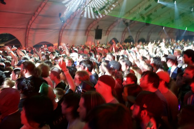 Coachella Crowd Gets Electrified