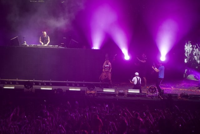 David Guetta Rocks Coachella Stage under Purple Spotlights