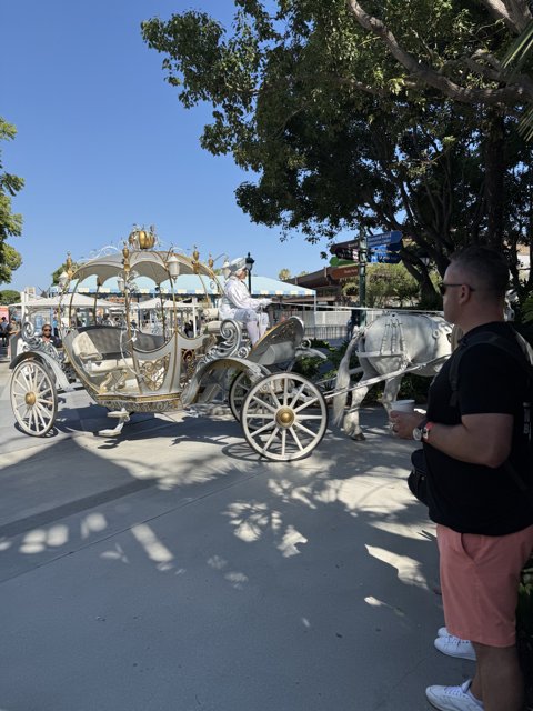Enchanted Ride at Disneyland