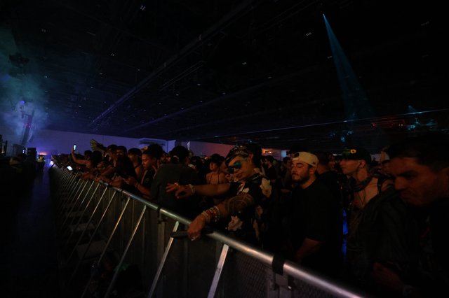 Crowd Surges at Wobbleland 2026 Festival Barrier