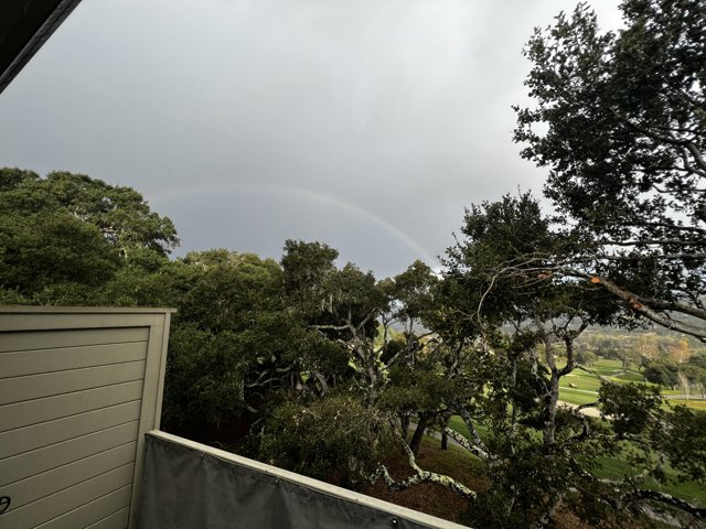 A Vibrant Rainbow Over the Carmel Hills