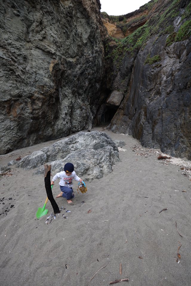 Young Explorer Discovers Sea Cave on Rugged Beach