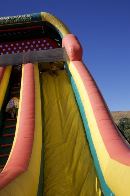 Sliding into Fun: A Day at the Play Area