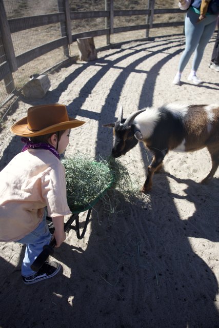 Ranch Adventures: Feeding Time