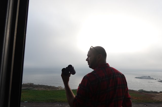 Man with Binoculars Overlooking Coastal Waters