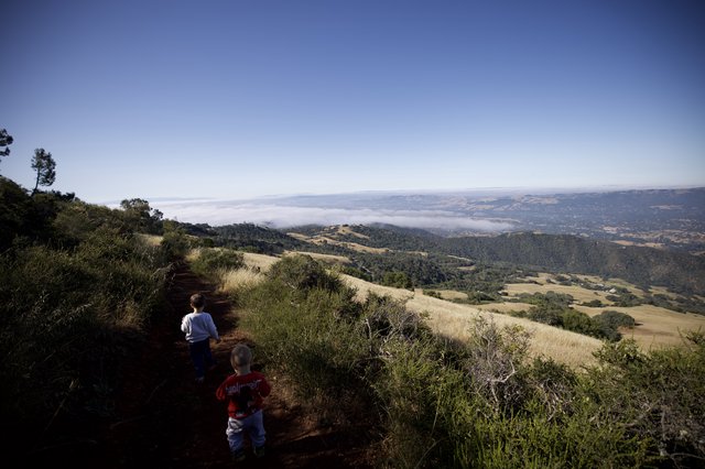 Young Explorers Hiking Above the Clouds on Mt. Diablo