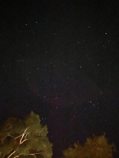 Starry Night in Carmel