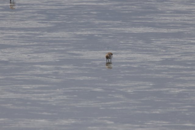 Serenity at San Pablo Bay