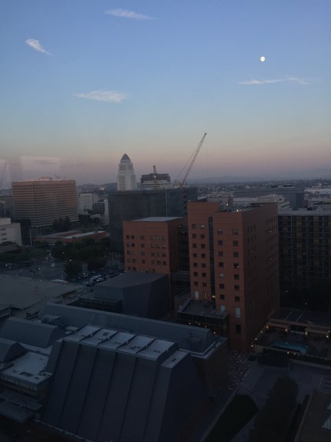 Setting Moon over the Metropolis