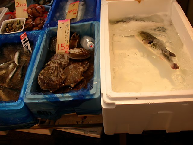 Seafood on Ice in Tokyo