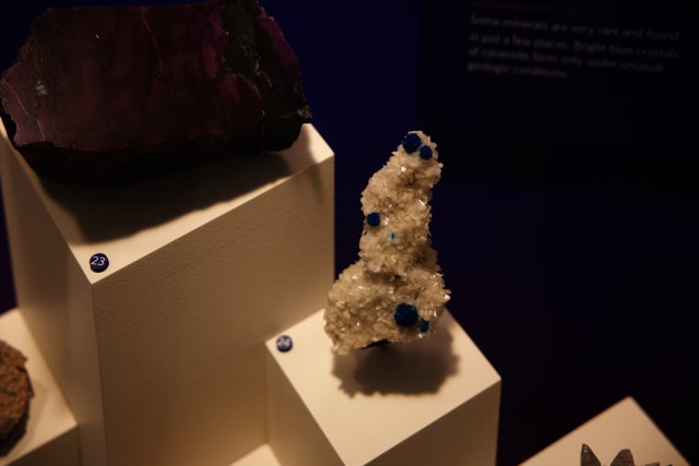 Dazzling Mineral Collection at California Academy of Sciences