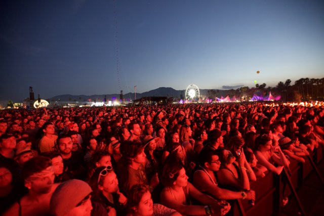 Coachella Crowd Under a Blue Sky