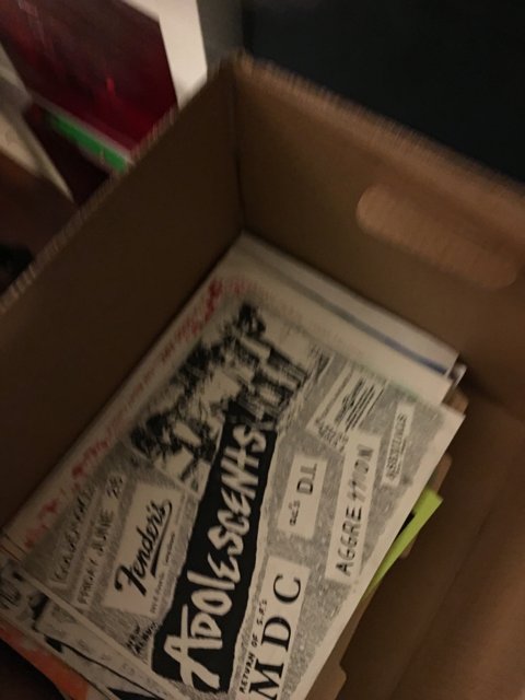 Newspapers and Book Found in Cardboard Box