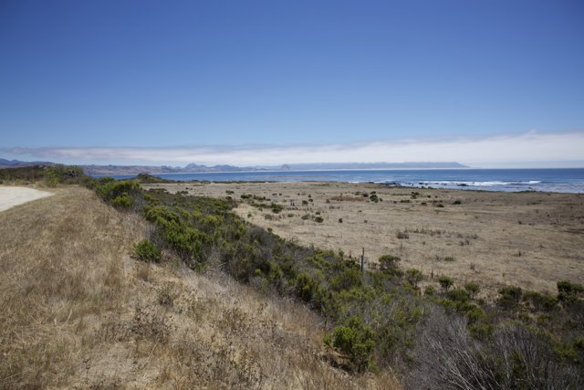 Serenity Along the Coast