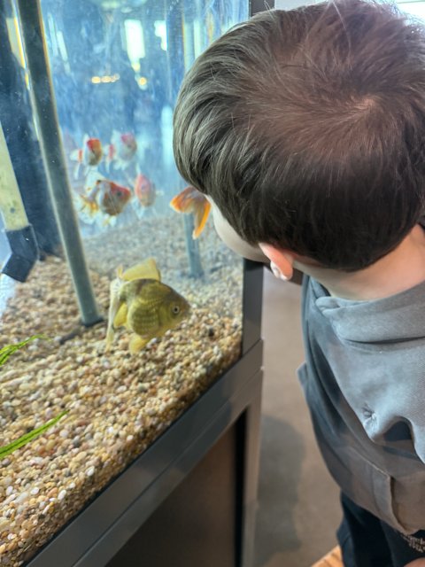 Mesmerized by the Underwater World