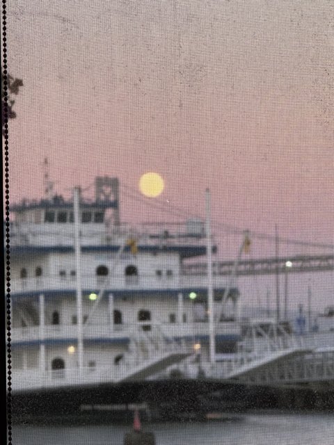 Moonrise Over the Bay