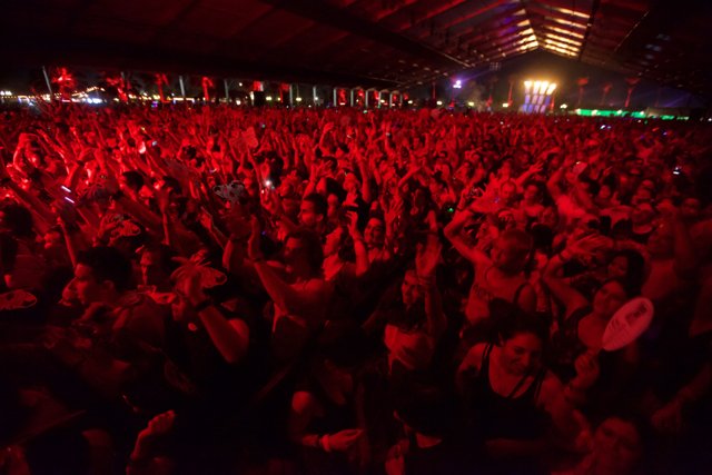 Epic Crowd Participation at Coachella 2012
