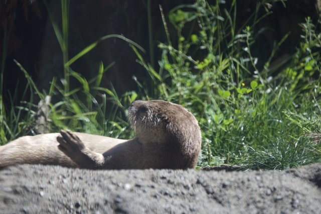 Bask in the Natural Bliss